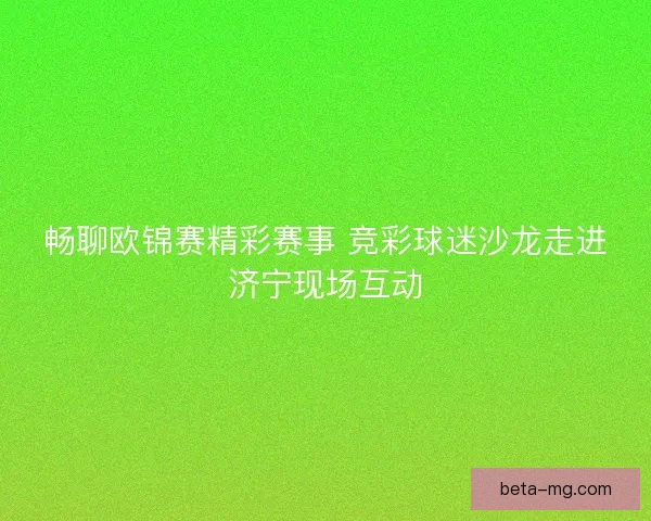 畅聊欧锦赛精彩赛事 竞彩球迷沙龙走进济宁现场互动